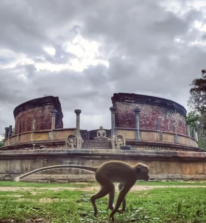 Polonnaruwa Sri Lanka