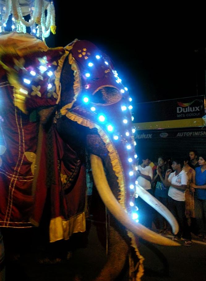 sri lanka festivals